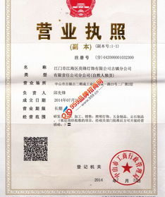 亮鋒燈飾加盟,怎么加盟亮鋒燈飾,亮鋒燈飾加盟資料 959招商網(wǎng)